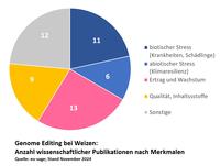 Genome Editing bei Weizen