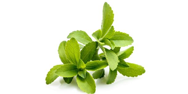 Stevia