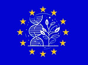 EU-Flagge und NGT-Regulierung