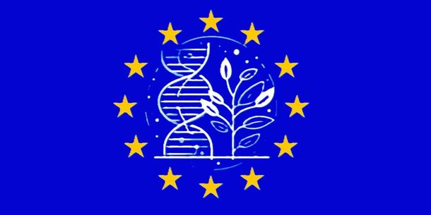 EU-Flagge und NGT-Regulierung