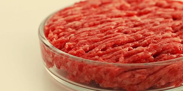 Kultiviertes Fleisch Kultiviertes Fleisch